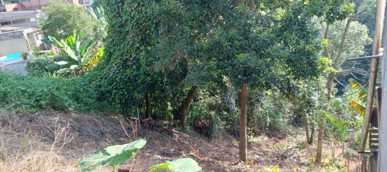 Imagem Terreno à Venda, 259 m² em São Roque