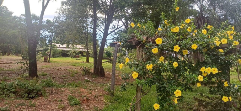Imagem Chácara com 4 Quartos à Venda, 27 m² em área Rural De Campo Verde - Campo Verde Imagem Chácara com 4 Quartos à Venda, 27 m² em área Rural De Campo Verde - Campo Verde