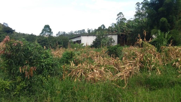 Imagem Chácara com 3 Quartos à Venda, 1.040 m² em Buquirinha - São José Dos Campos Imagem Chácara com 3 Quartos à Venda, 1.040 m² em Buquirinha - São José Dos Campos