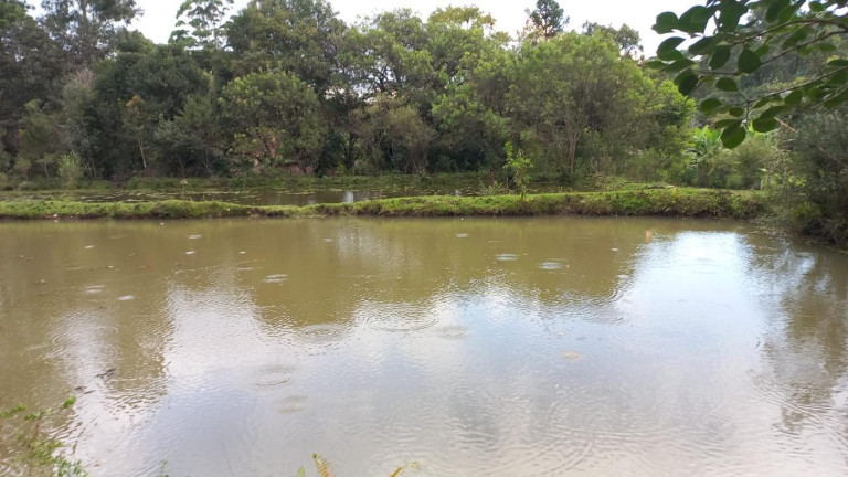 Imagem Imóvel com 3 Quartos à Venda, 11 m² em Olaria - Bocaiúva Do Sul Imagem Imóvel com 3 Quartos à Venda, 11 m² em Olaria - Bocaiúva Do Sul