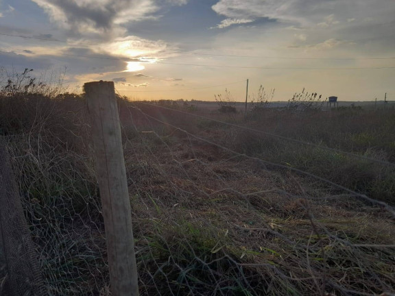 Imagem Chácara com 4 Quartos à Venda, 150 m² em área Rural De Anápolis - Anápolis Imagem Chácara com 4 Quartos à Venda, 150 m² em área Rural De Anápolis - Anápolis