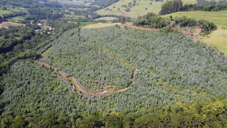 Imagem Terreno à Venda, 170.000 m² em Interior - Jaborá Imagem Terreno à Venda, 170.000 m² em Interior - Jaborá