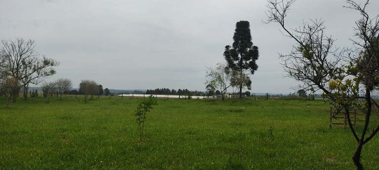 Imagem Chácara com 3 Quartos à Venda, 774 m² em Zona Rural - Alambari Imagem Chácara com 3 Quartos à Venda, 774 m² em Zona Rural - Alambari