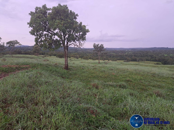 Imagem Chácara à Venda, 10 m² em Zona Rural - Itapuranga Imagem Chácara à Venda, 10 m² em Zona Rural - Itapuranga