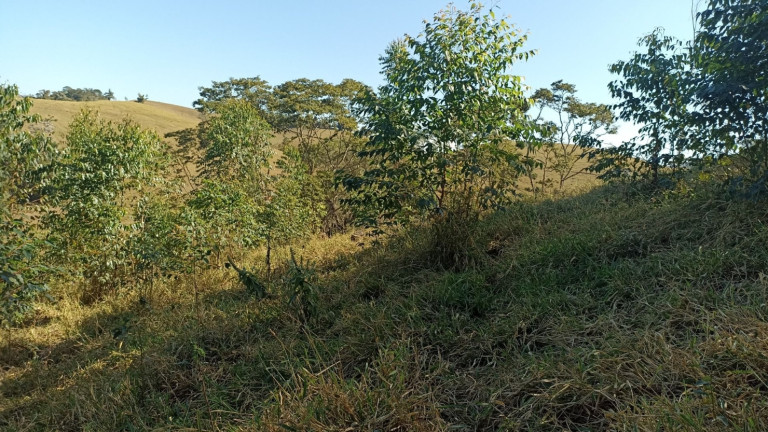 Imagem Chácara com 2 Quartos à Venda, 100 m² em Centro - Paraibuna