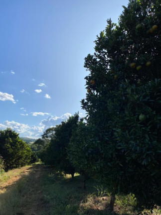 Imagem Chácara com 4 Quartos à Venda, 160.000 m² em Garavelo - Abadia De Goiás
