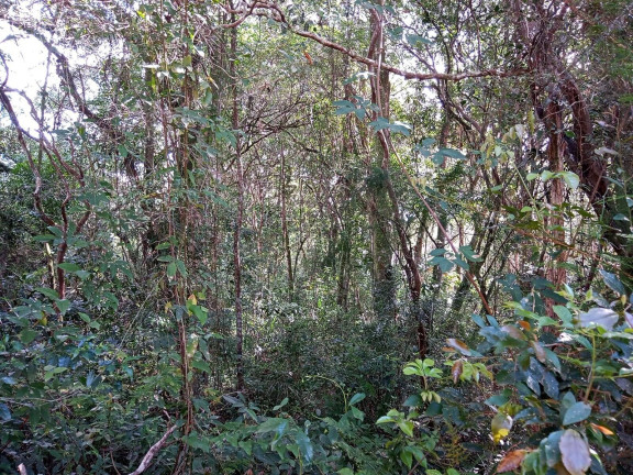 Imagem Terreno à Venda, 1.350 m² em águas Claras - Viamão