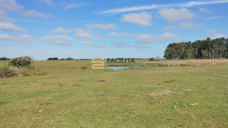 Imagem Imóvel com 2 Quartos à Venda, 470.000 m² em Quinta - Rio Grande Imagem Imóvel com 2 Quartos à Venda, 470.000 m² em Quinta - Rio Grande