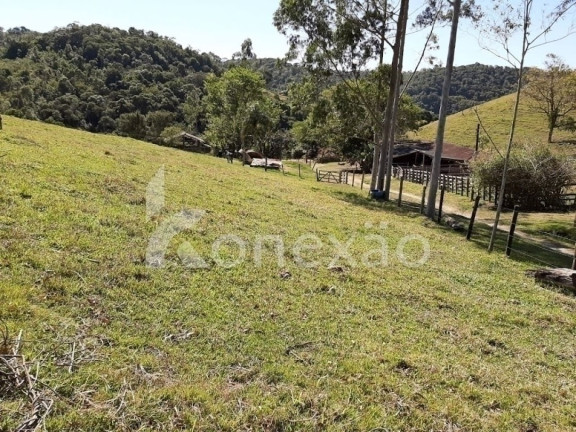 Imagem Chácara com 3 Quartos à Venda, 200 m² em Cedro - Paraibuna Imagem Chácara com 3 Quartos à Venda, 200 m² em Cedro - Paraibuna