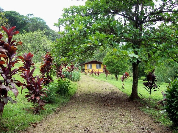 Imóvel com 4 Quartos à Venda, 68.000 m² em Centro - Morretes 