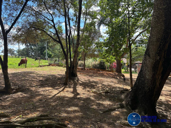 Imagem Chácara à Venda, 5 m² em Zona Rural - Bela Vista De Goiás Imagem Chácara à Venda, 5 m² em Zona Rural - Bela Vista De Goiás