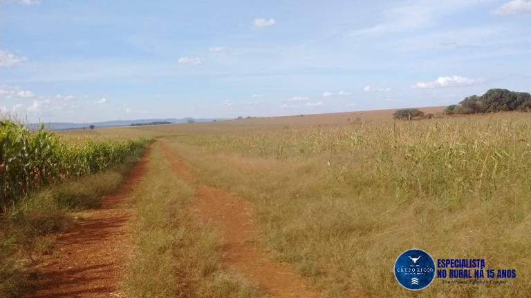 Imagem Fazenda à Venda, 433 m² em Zona Rural - Doverlândia Imagem Fazenda à Venda, 433 m² em Zona Rural - Doverlândia