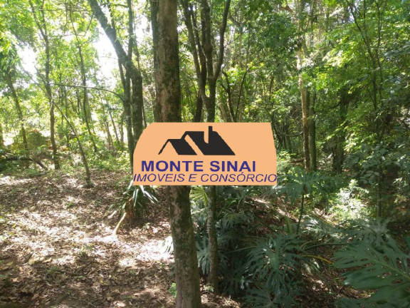 Imagem Chácara com 4 Quartos à Venda, 5.000 m² em Centro - Capela Do Alto