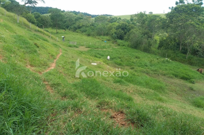 Imagem Chácara com 2 Quartos à Venda, 200 m² em Pinheiro - Paraibuna Imagem Chácara com 2 Quartos à Venda, 200 m² em Pinheiro - Paraibuna