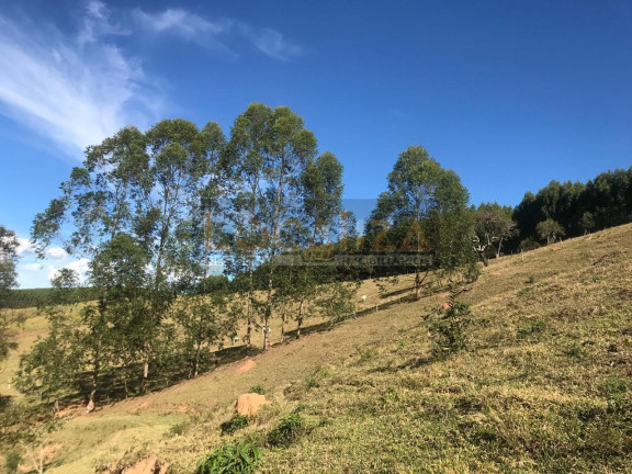 Imagem Imóvel com 2 Quartos à Venda, 100 m² em Baleiro Felicidade - Cunha Imagem Imóvel com 2 Quartos à Venda, 100 m² em Baleiro Felicidade - Cunha