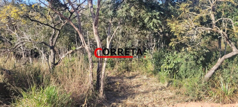 Imagem Terreno em Condomínio à Venda, 2.010 m² em Bairro Da Ressaca - Ibiúna Imagem Terreno em Condomínio à Venda, 2.010 m² em Bairro Da Ressaca - Ibiúna