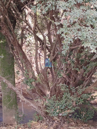 Imagem Imóvel com 3 Quartos à Venda, 1.300 m² em Zona Rural - Piracema Imagem Imóvel com 3 Quartos à Venda, 1.300 m² em Zona Rural - Piracema