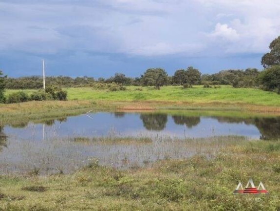 Imagem Fazenda à Venda, 324 m² em Zona Rural - Nova Brasilândia Imagem Fazenda à Venda, 324 m² em Zona Rural - Nova Brasilândia
