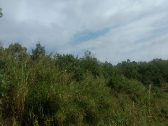 Imagem Terreno à Venda, 55.000 m² em Colônia (zona Leste) - São Paulo