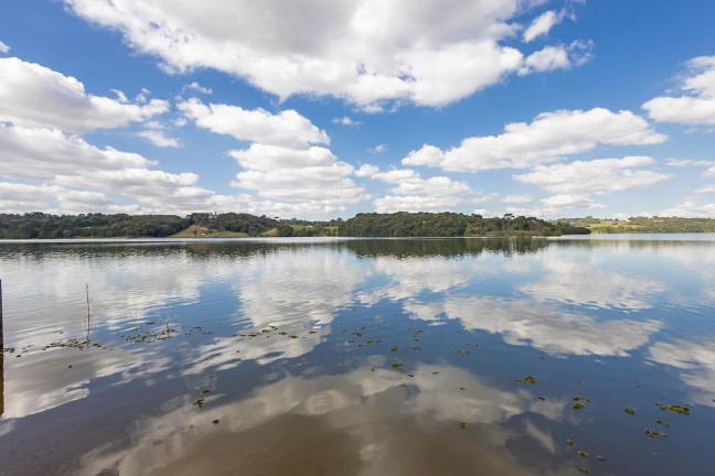 Imagem Imóvel com 3 Quartos à Venda, 31.671 m² em Ferraria / Bolinete - Campo Largo