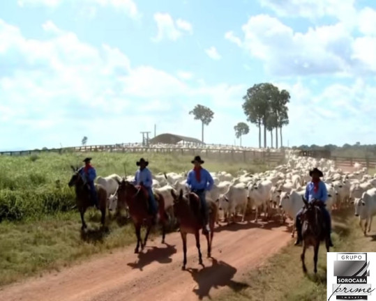 Imagem Imóvel à Venda, 427.000 m² em Marabá - Marabá Imagem Imóvel à Venda, 427.000 m² em Marabá - Marabá