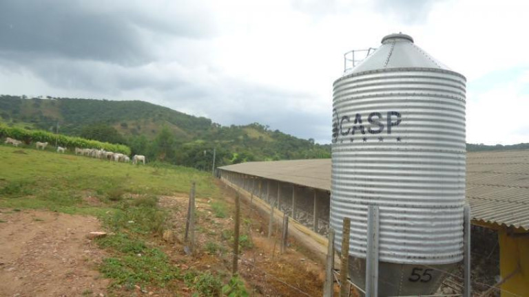 Imagem Fazenda à Venda, 60 m² em Azurita - Mateus Leme