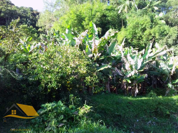 Imagem Chácara com 2 Quartos à Venda, 100 m² em Ribeirão Do Capitão - Bom Jardim Imagem Chácara com 2 Quartos à Venda, 100 m² em Ribeirão Do Capitão - Bom Jardim