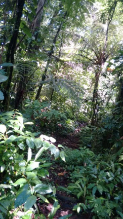 Imagem Terreno à Venda, 300.000 m² em Maresias - São Sebastião