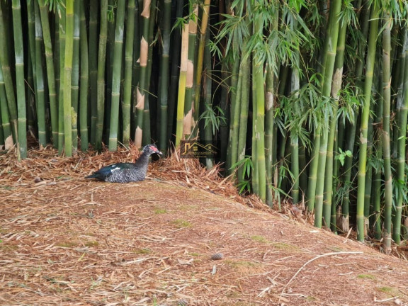 Imagem Terreno à Venda, 1.064 m² em Parque Reserva Fazenda Imperial - Sorocaba