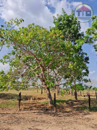 Imagem Fazenda à Venda, 968.000 m² em Zona Rural - Marabá Imagem Fazenda à Venda, 968.000 m² em Zona Rural - Marabá