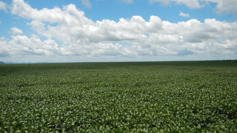 Imagem Fazenda à Venda, 910 m² em Rural - São Francisco Do Maranhão