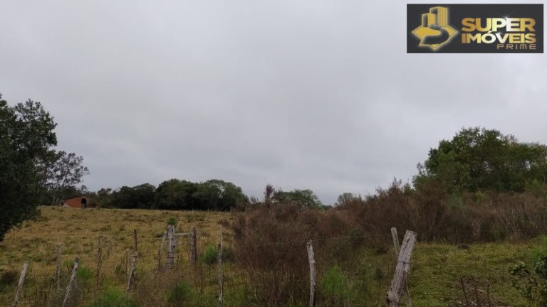 Imagem Imóvel com 4 Quartos à Venda, 2.600.000 m² em Centro - Canguçu