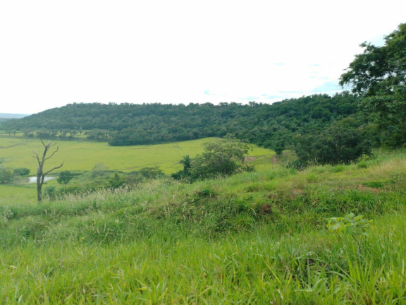 Imagem Chácara à Venda, em Cuiabá Imagem Chácara à Venda, em Cuiabá