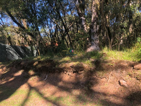Imagem Terreno à Venda, 728 m² em Pinheiro Grosso - Canela Imagem Terreno à Venda, 728 m² em Pinheiro Grosso - Canela