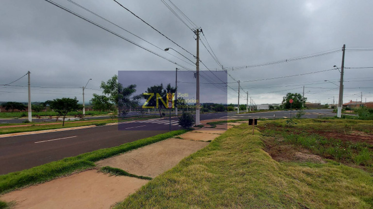 Imagem Terreno à Venda, 260 m² em Jardim Cristo Redentor - Ribeirão Preto