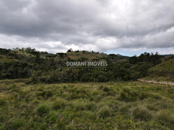 Imagem Terreno à Venda, 7.500 m² em Região Do Parque Da Ferradura - Campos Do Jordão Imagem Terreno à Venda, 7.500 m² em Região Do Parque Da Ferradura - Campos Do Jordão