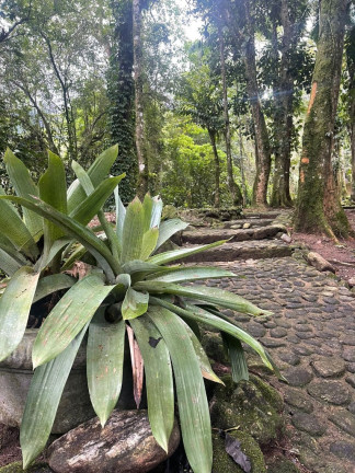 Imagem Imóvel com 5 Quartos à Venda, 20.000 m² em Maresias - São Sebastião Imagem Imóvel com 5 Quartos à Venda, 20.000 m² em Maresias - São Sebastião