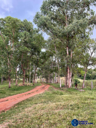 Imagem Fazenda à Venda, 33 m² em Zona Rural - Goiás Imagem Fazenda à Venda, 33 m² em Zona Rural - Goiás