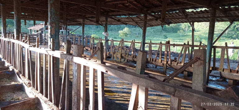 Imagem Fazenda à Venda, 1.010.000 m² em Jardim São Dimas - São José Dos Campos