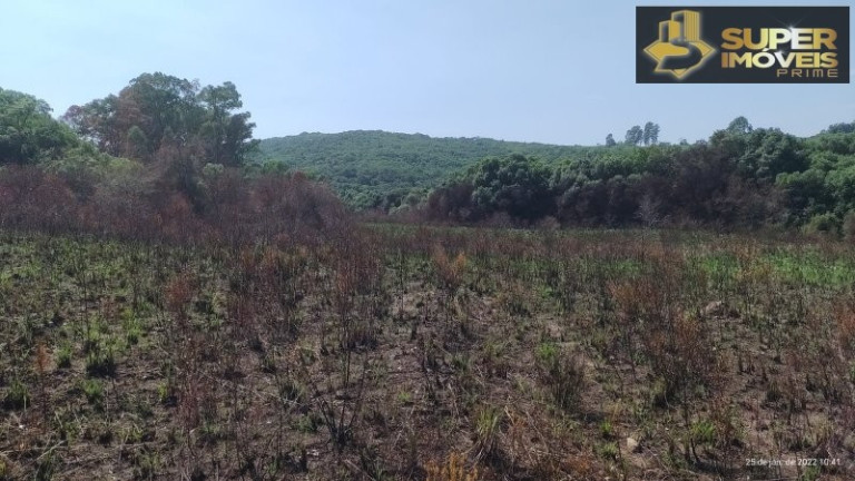 Imagem Imóvel com 4 Quartos à Venda, 2.600.000 m² em Centro - Canguçu