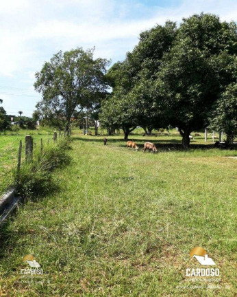 Imagem Fazenda à Venda, 20.000 m² em águas Claras - Viamão Imagem Fazenda à Venda, 20.000 m² em águas Claras - Viamão