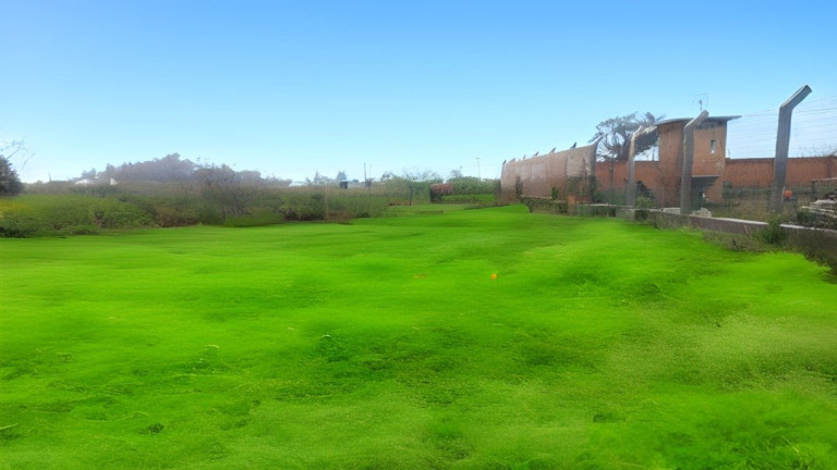 Imagem Fazenda à Venda, 600 m² em Terre De Areia - Terra De Areia