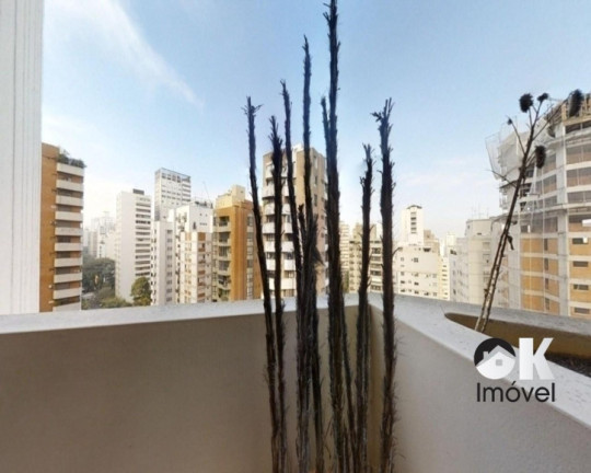 Imagem Apartamento com 3 Quartos à Venda, 268 m² em Jardim Paulista - São Paulo