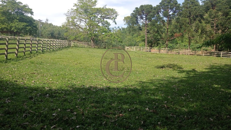 Fazenda para Alugar, 100 m² em Serrote - Santa Branca