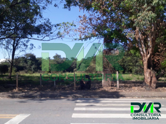 Imagem Terreno à Venda, 12 m² em Piracangaguá - Taubaté