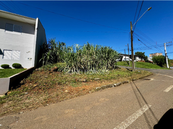 Imagem Terreno à Venda, em Primavera - Concórdia Imagem Terreno à Venda, em Primavera - Concórdia