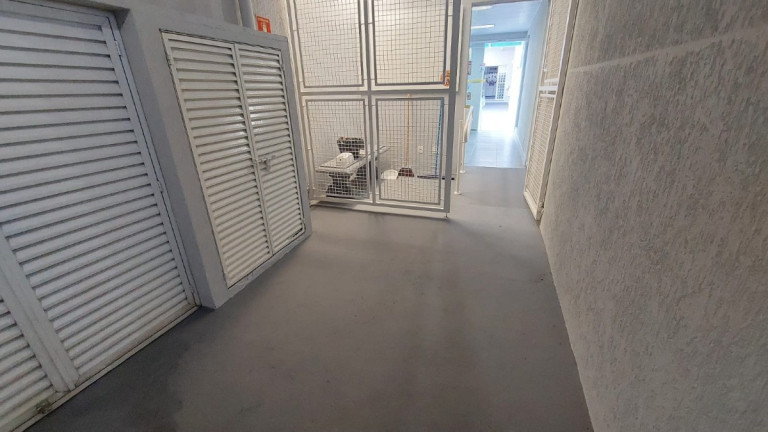 Imagem Casa à Venda, 360 m² em Vila Mariana - São Paulo
