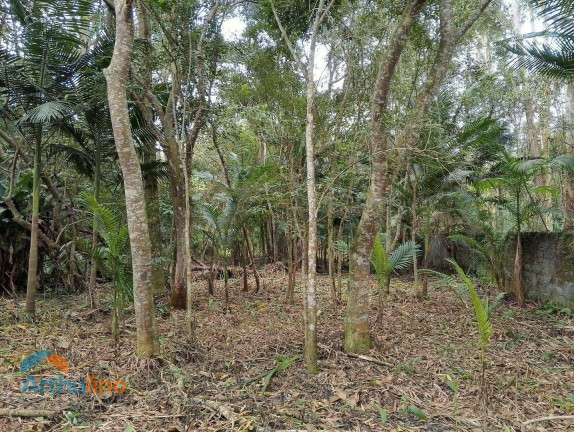 Imagem Imóvel à Venda, 4.000 m² em Itapecerica Da Serra - Itapecerica Da Serra Imagem Imóvel à Venda, 4.000 m² em Itapecerica Da Serra - Itapecerica Da Serra