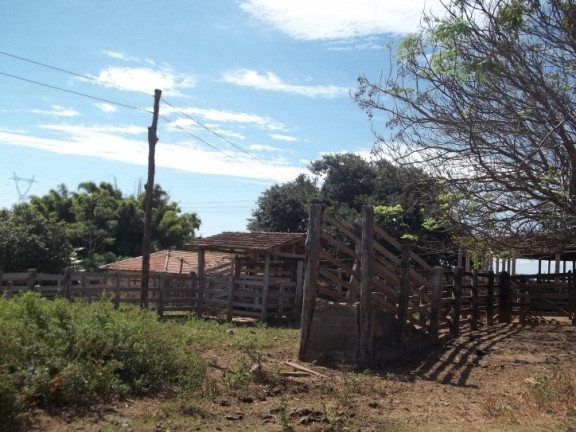 Imagem Fazenda à Venda, 222 m² em Zona Rural - Professor Jamil Imagem Fazenda à Venda, 222 m² em Zona Rural - Professor Jamil