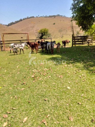 Imagem Fazenda à Venda, 400 m² em Centro - Jacareí